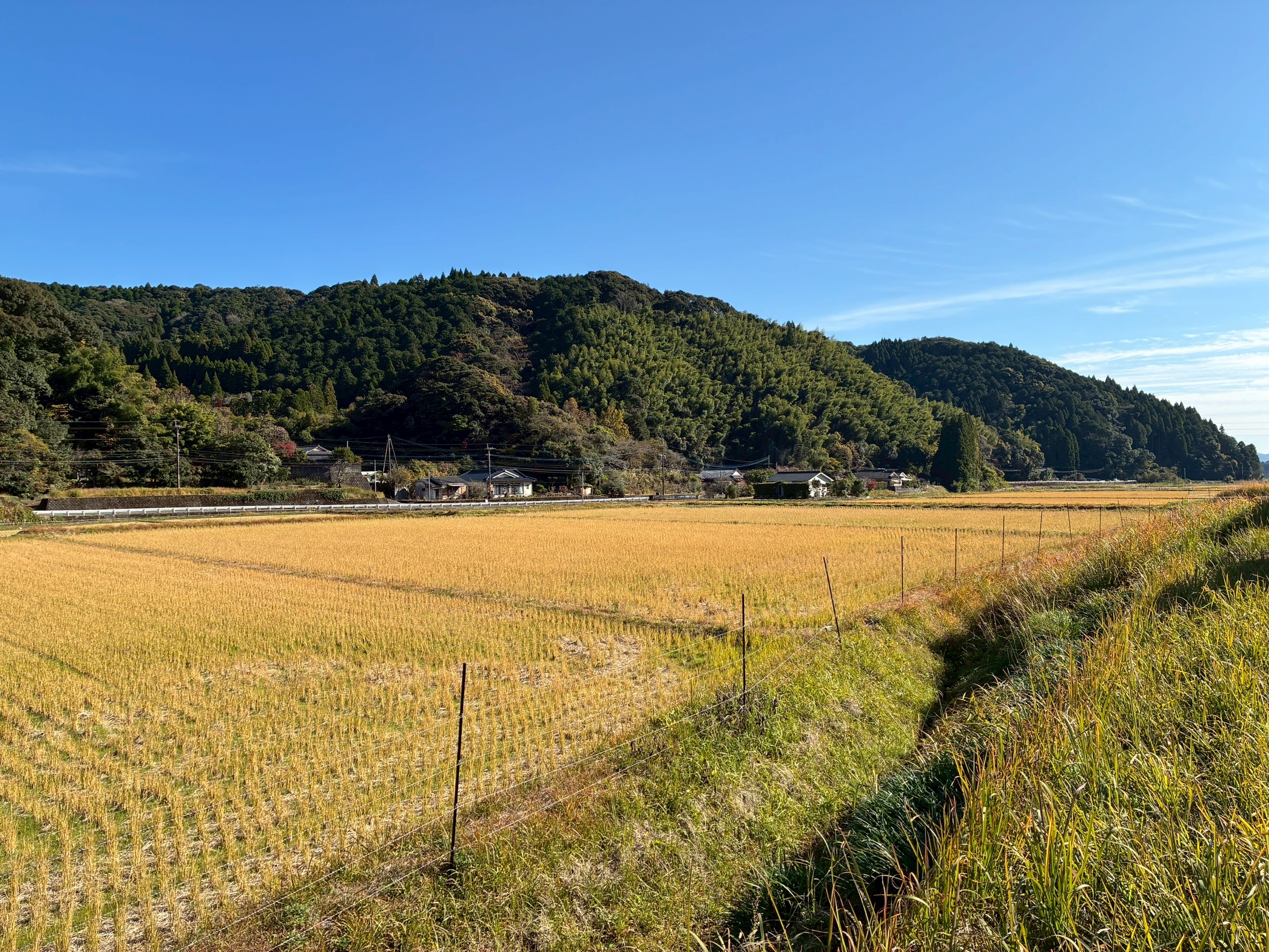 薩摩川内市で見た「人と空間の循環」が生む地域の未来